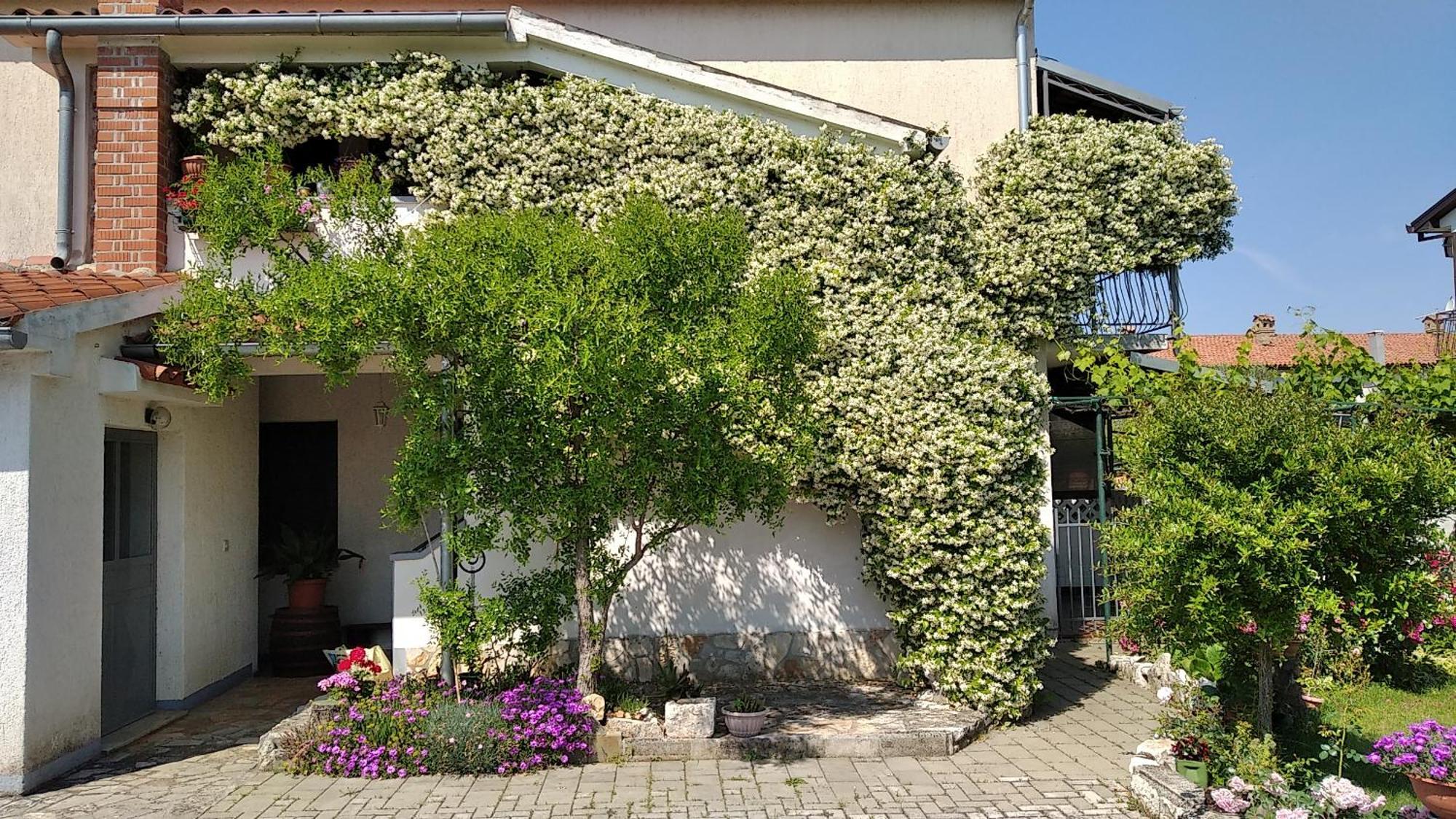 Apartment Sasa Bozac Porec Luaran gambar